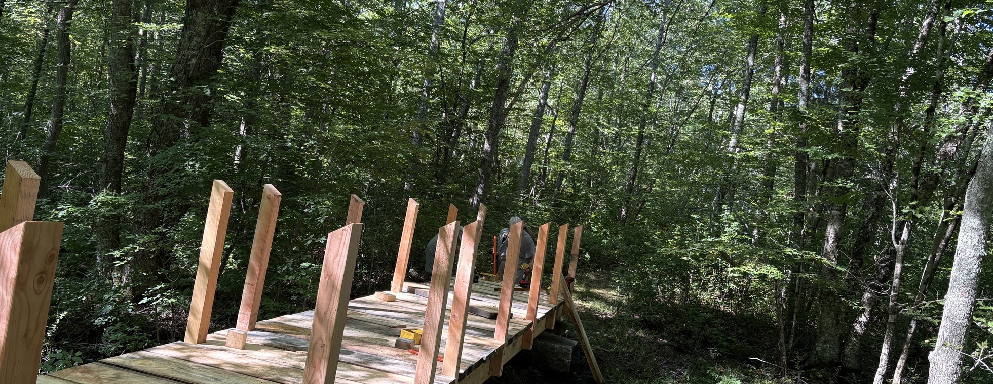 Snell Creek Sneak Peek