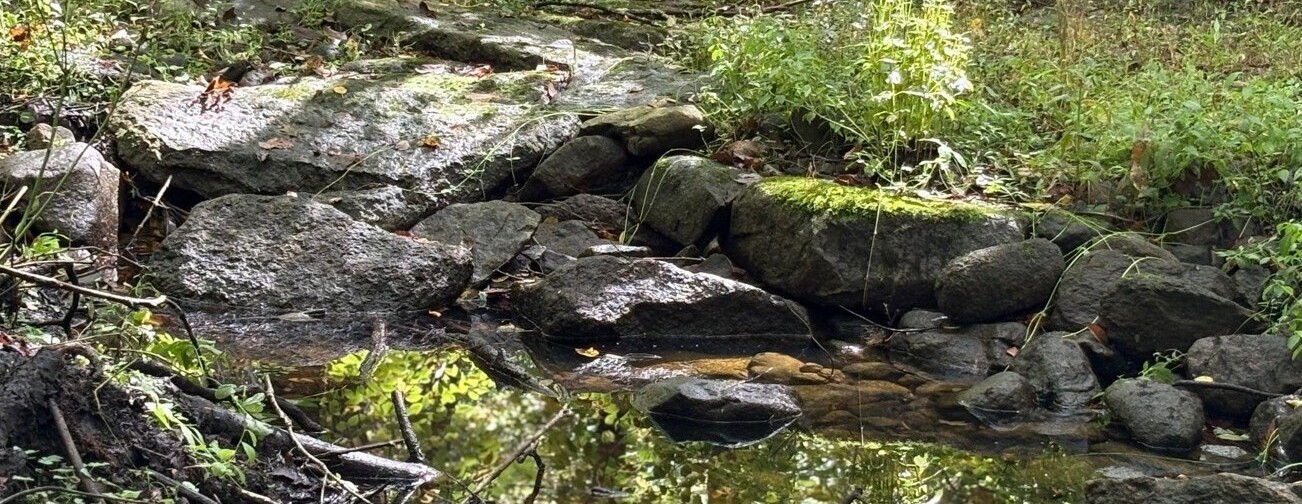 Snell Creek Sneak Peek